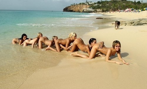 Scientists prove that human centipede is real! (10 real life examples)